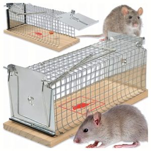 2x humanitarna pułapka Żywołapka na szczury gryzonie Łapka do Łapania xxl